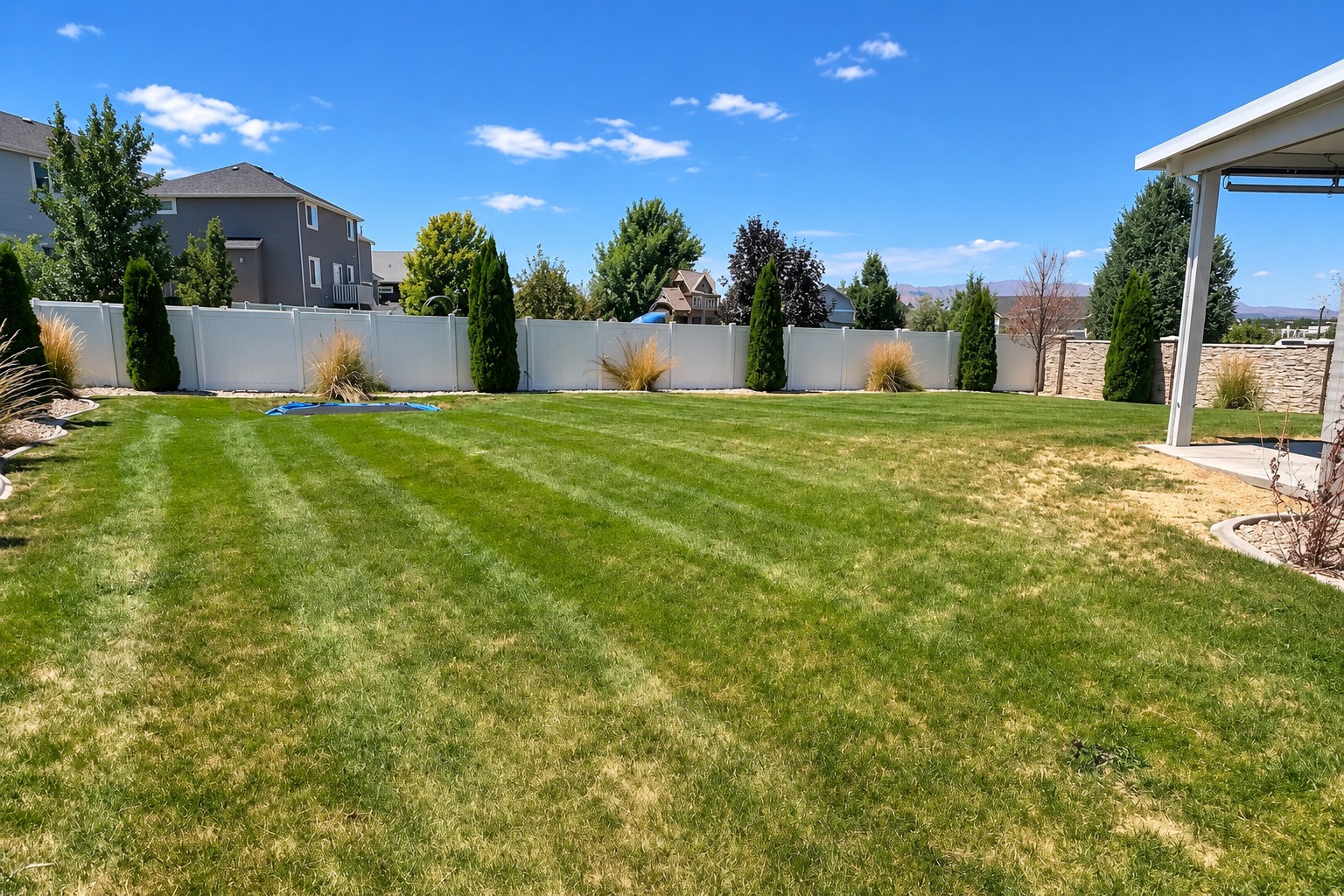 Fully fenced backyard with lawn