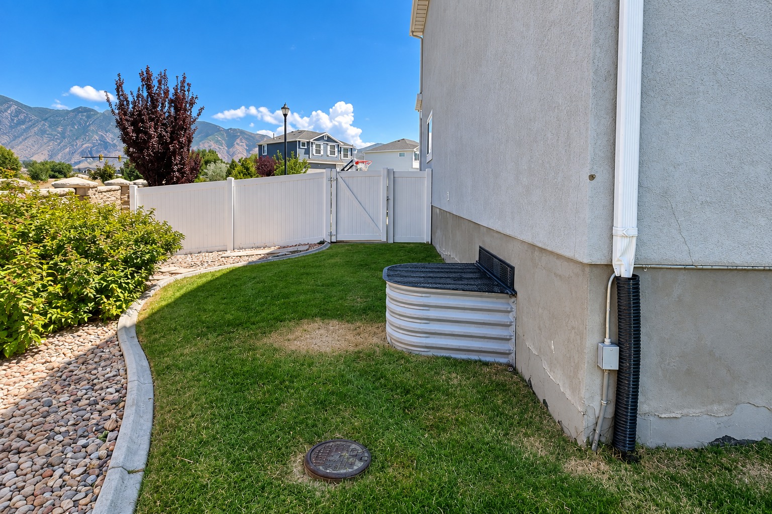Side yard and landscaping